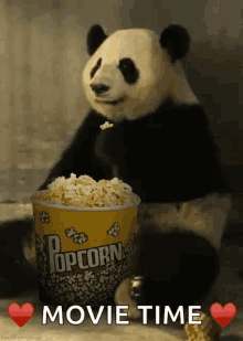 popcorn panda eating weird movie time