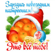 a christmas card with oranges in a santa hat and decorations .