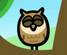 Boj Owl GIF - Boj Owl Cbeebies GIFs