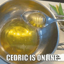 Cedric Online GIF - Cedric Online Cedric Is Online GIFs