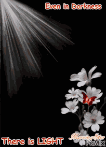there is light flower even in darkness there is light