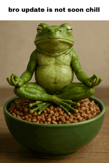 a frog sits in a lotus position on a bowl of beans