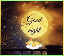 a cat is sleeping on a cloud in front of a full moon with the words good night written above it