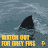 a picture of a shark fin with the words watch out for grey fins