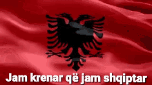 Shqiponja Albania GIF - Shqiponja Albania Krenar GIFs