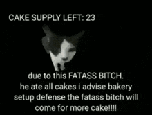 Fatass Cake GIF - Fatass Cake Warning GIFs