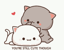 Cat Your Still Cute Though GIF - Cat Your Still Cute Though Pet Head GIFs