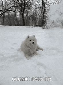 Snow Party GIF - Snow Party Time GIFs