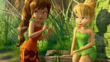 two cartoon fairies are talking to each other in the woods .