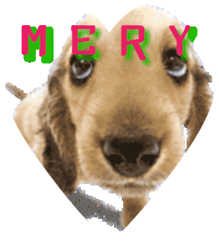 Feliz Cumple Dog Sticker - Feliz Cumple Dog Stickers