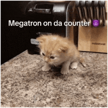 Megatron Megatron On Da Counter GIF