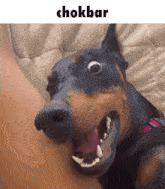 Chokbar Choqué GIF