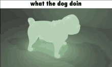 What The Dog Doin Dog GIF - What The Dog Doin Dog Why GIFs