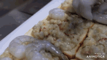 a close up of a plate of food with the words made in animotica visible