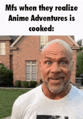 Roblox Anime Adventures GIF