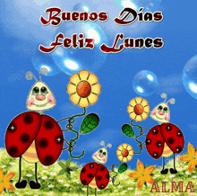 a ladybug says buenos dias feliz lunes
