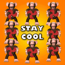 Stay Cool Stay Tight GIF