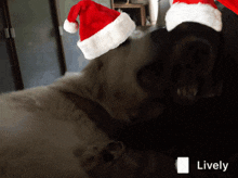 Googz Santa GIF - Googz Santa Christmas GIFs