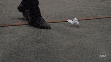 a person 's foot is on a piece of paper with abc written on the bottom