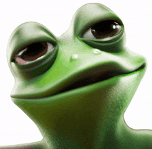 kermit kermit the frog kermit meme kermit the frog meme