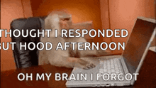 Monkey Frustrated GIF - Monkey Frustrated Oh No GIFs