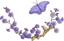 Flowers Butterfly GIF - Flowers Butterfly Design GIFs