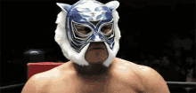 wrestling tiger mask