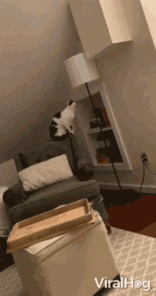 Touch Playing With Lamp GIF - Touch Playing With Lamp Smart Cat GIFs
