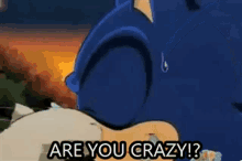 Knuckles The Echidna Are You Crazy GIF - Knuckles The Echidna Are You Crazy Crazy GIFs