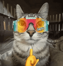 GIF