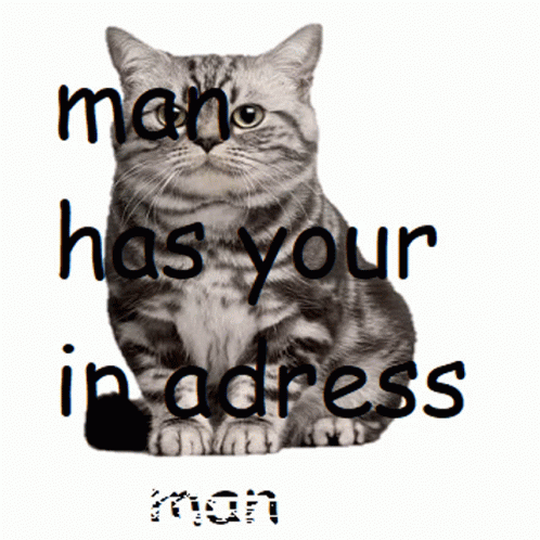 Man Man Has Your Ip Adress GIF - Man Man Has Your Ip Adress Cat ...