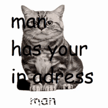 Man Man Has Your Ip Adress GIF - Man Man Has Your Ip Adress Cat GIFs