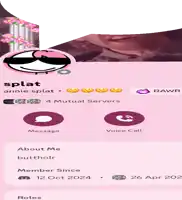 a screenshot of a person 's profile with a pink flamingo wearing sunglasses