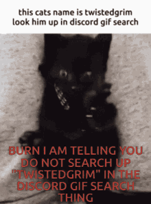 burn i am warning you do not do it burnkitty cat twistedgrim kitten