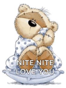good night love you teddy bear bear hugs