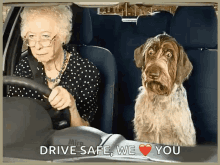 lol old lady driving dog afraid