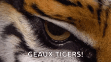 Geauxtigers Lsu GIF - Geauxtigers Lsu Mike The Tiger GIFs