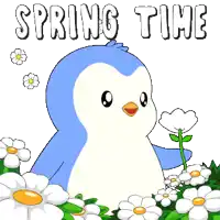 a penguin is standing in a field of daisies with the words spring time above him