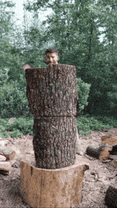 a man is standing behind a stack of logs in the woods
