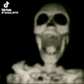 Skelet GIF - Skelet GIFs