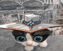 a black and white cat wearing a hat with a sword on top