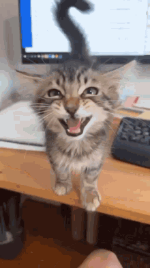 a cat with its mouth open standing on a desk in front of a computer monitor