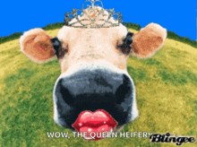 Cow Kiss GIF - Cow Kiss Muah GIFs