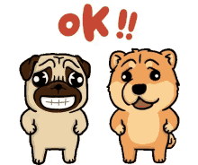 Ok Dog GIF - Ok Dog GIFs