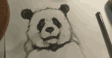 Panda Igor GIF - Panda Igor GIFs