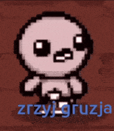 a pixel art of a skeleton with the name zrzyj gruzja written below it