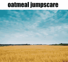 oatmeal jumpscare funny
