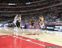 a basketball game is being played with a dog wearing a pacers jersey on the court