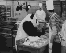 Panda Enojado Regando La Salsa En La Cocina GIF - Panda Throw Sauce GIFs