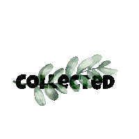 Collected Sold Sticker
